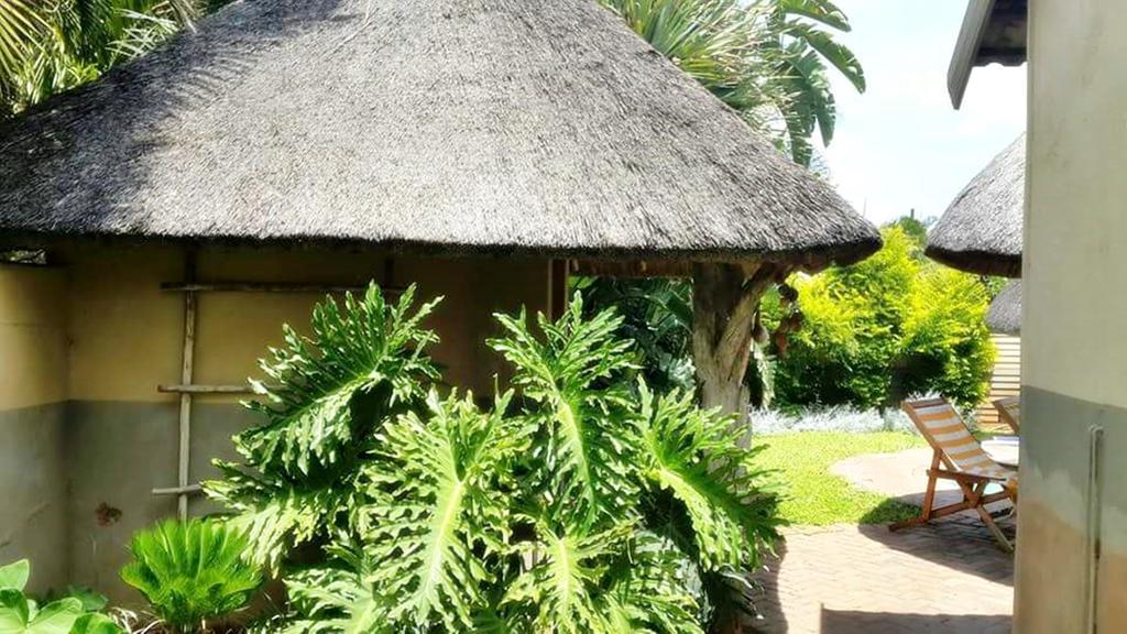 Lani'S Guest House - No Loadshedding 穆西纳 外观 照片